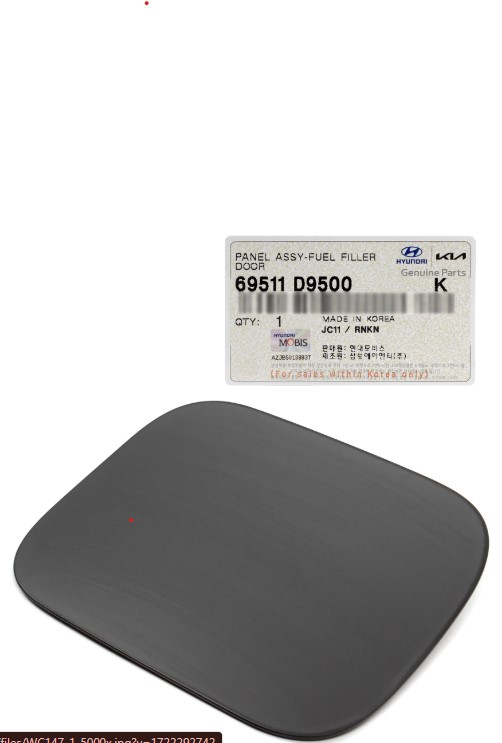 PANEL ASSY-FUEL FILLER DOOR 69511D9500